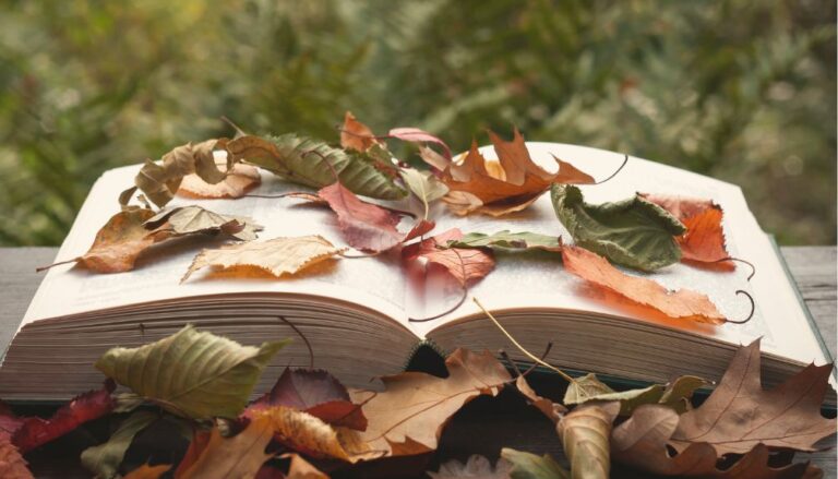 Seasonal Storytelling: Transforming Your Living Space With Narrative-Inspired Decor